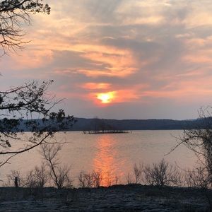 Meet your Posher, Bobbie